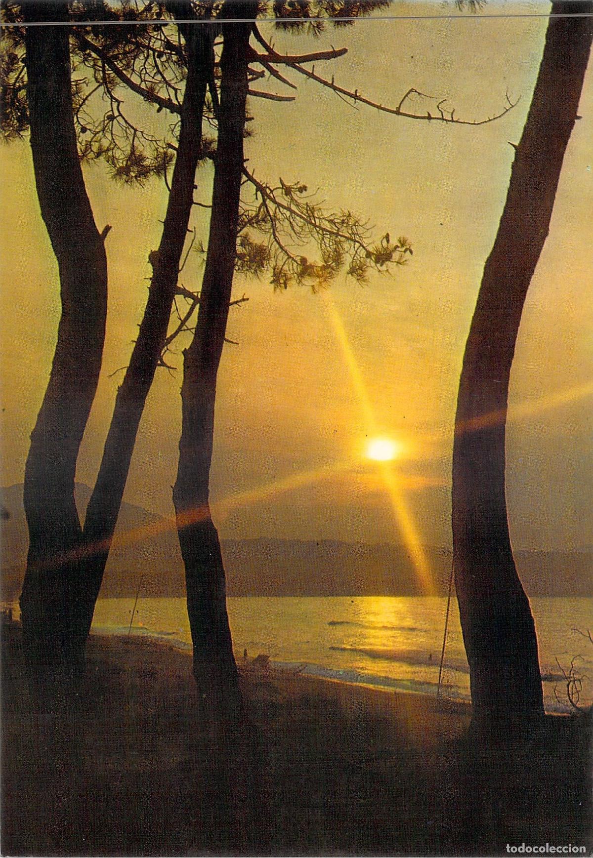 Postales: Postal de Puesta de Sol entre Pinos en Barcelona