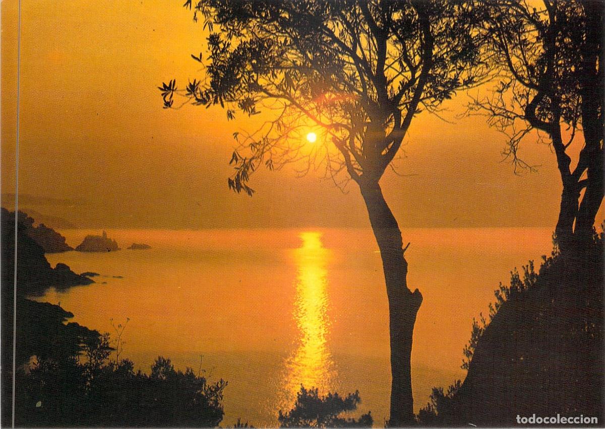 Postales: Postal de Atardecer y Puesta de Sol en la Costa