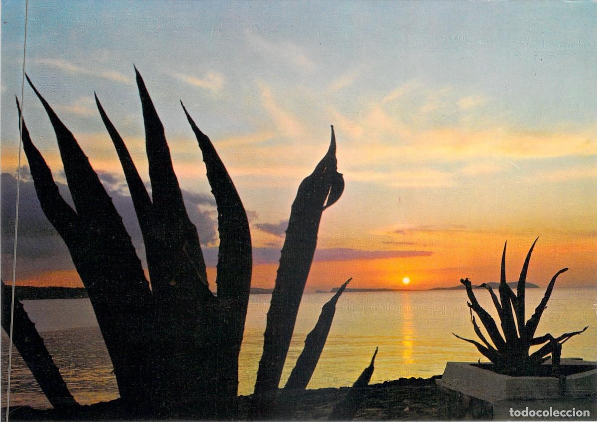 Postales: Postal de Puesta de Sol Mediterr&aacute;nea con Siluetas de Agaves