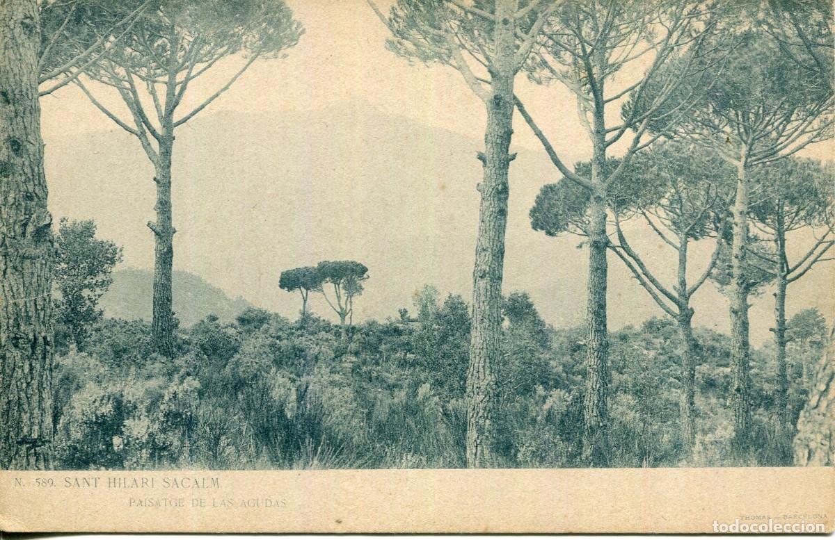 Postales: SANT HILARI SACALM-PAISAJE AGUDES- LB BARTRINA N&ordm; 589- SIN DIVIDIR