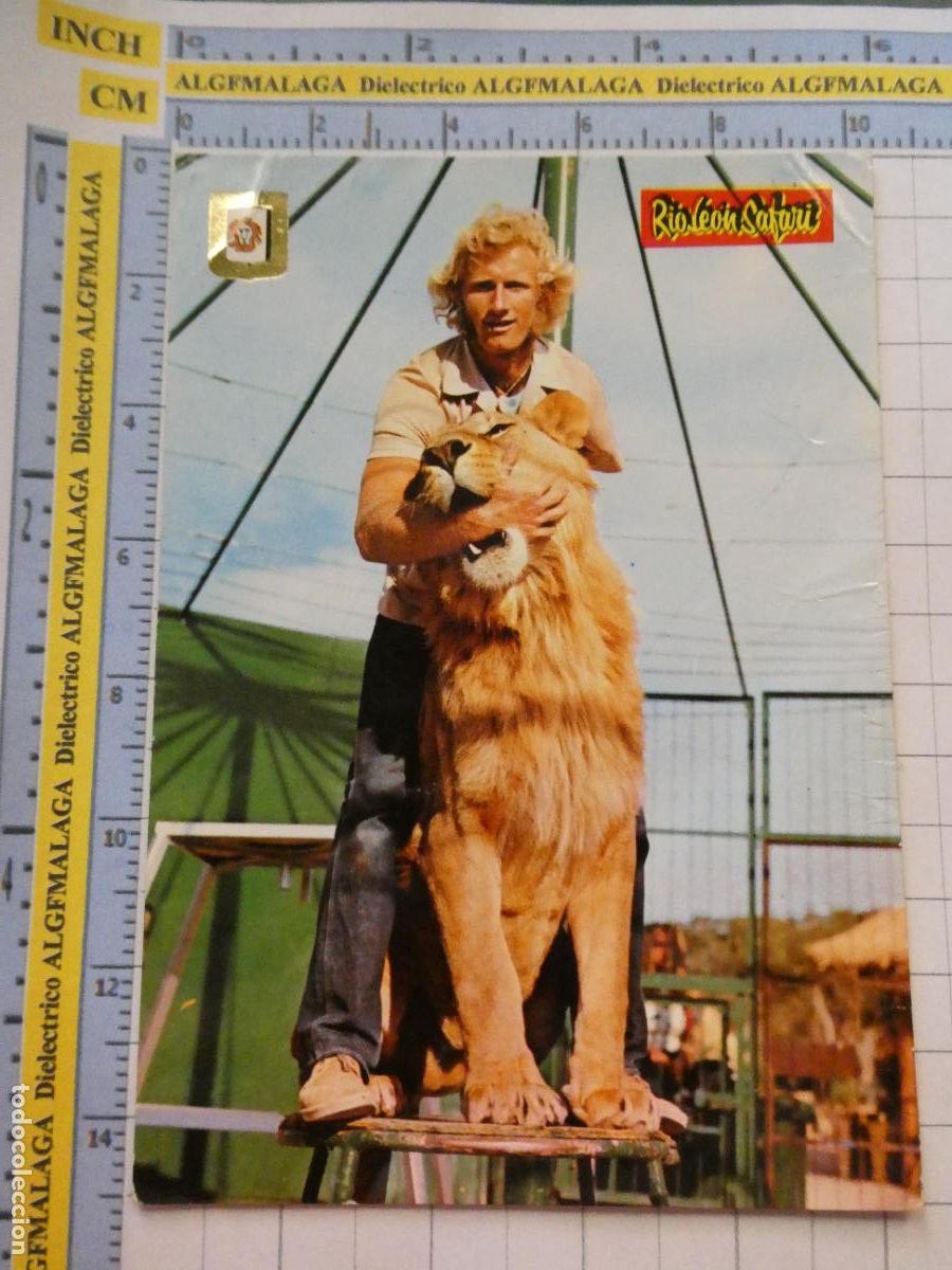 Postales: POSTAL DE TARRAGONA. 1976. ALBI&Ntilde;ANA RIO LEON SAFARI PARK ZOO. LE&Oacute;N DOMADOR DOMA LEONES. 2796