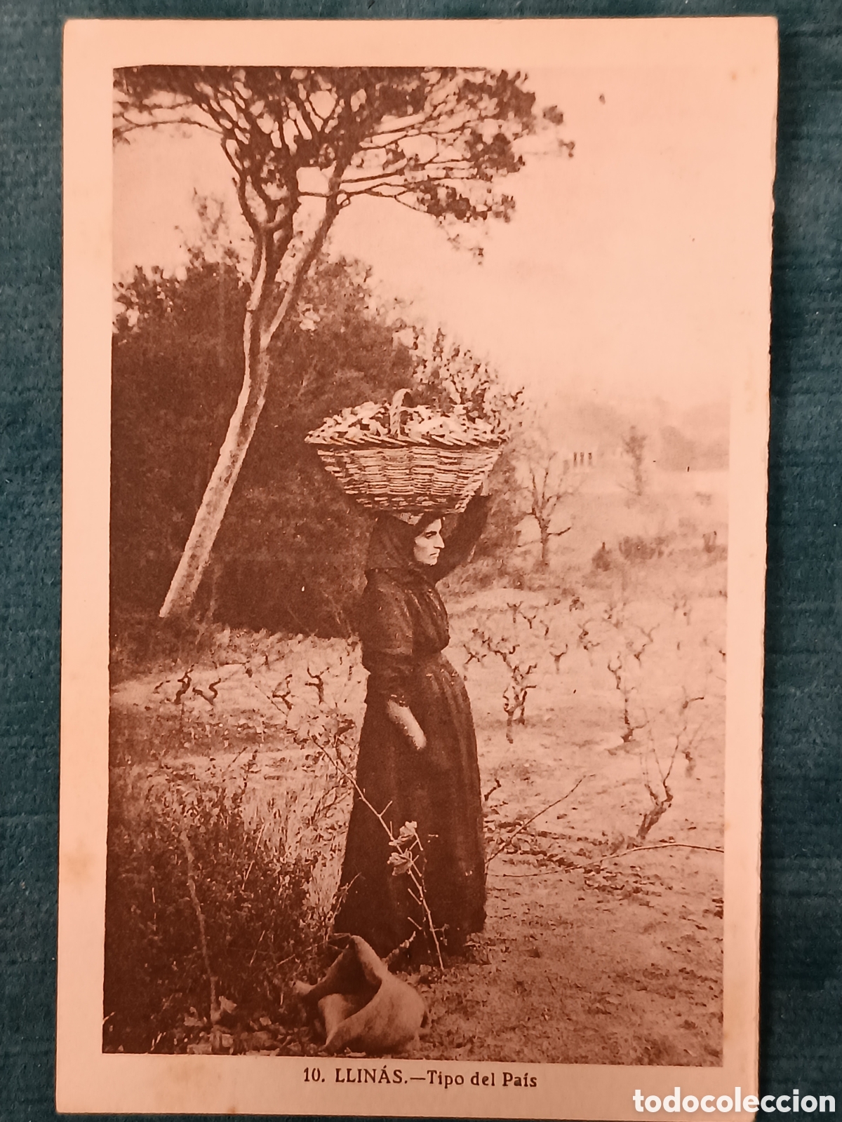 Postales: 10 LLIN&Aacute;S. Tipo del Pa&iacute;s. Llin&agrave;s