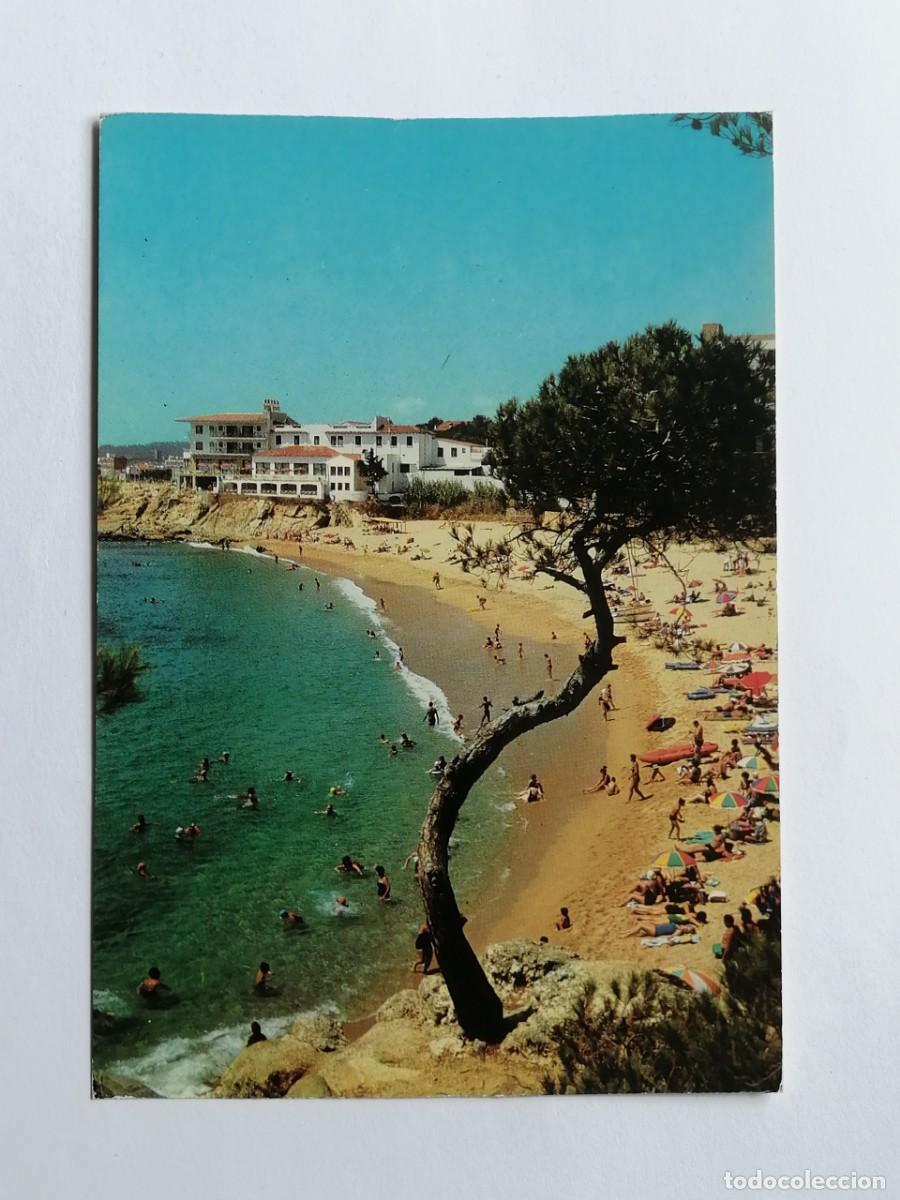 Postales: POSTAL 18460 NUEVA-BERGAS 64 PLAYA DE ARO GIRONA ARBOL FLORA