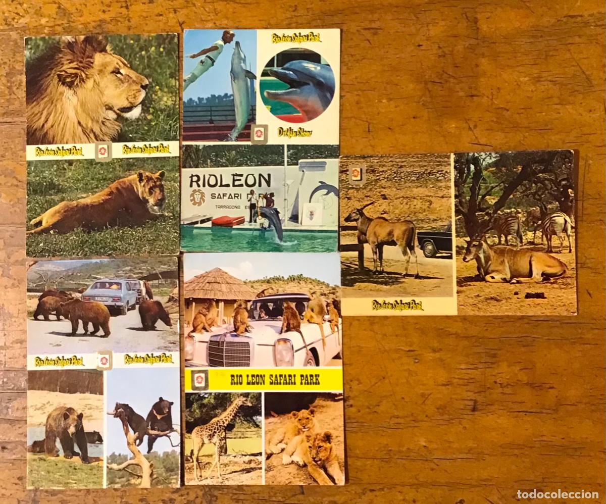 Postales: POSTALES DE RIOLEON SAFARI PARK