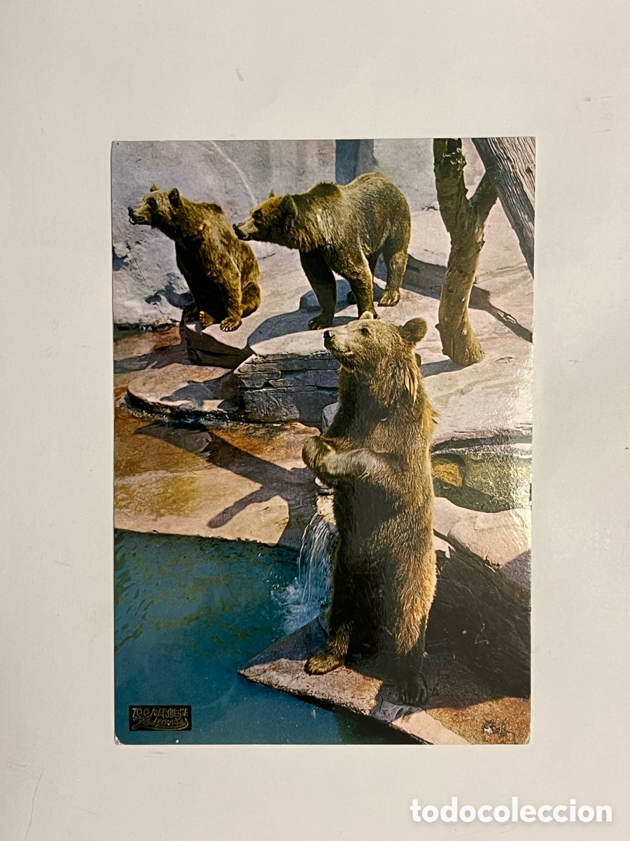 Cartoline: PARQUE ZOOLOGICO DE BARCELONA. Postal No.10, OSOS EUROPEOS, Zerkowitz