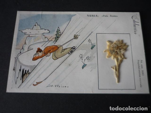 Cartoline: NURIA GERONA PALA BESTIA FLOR