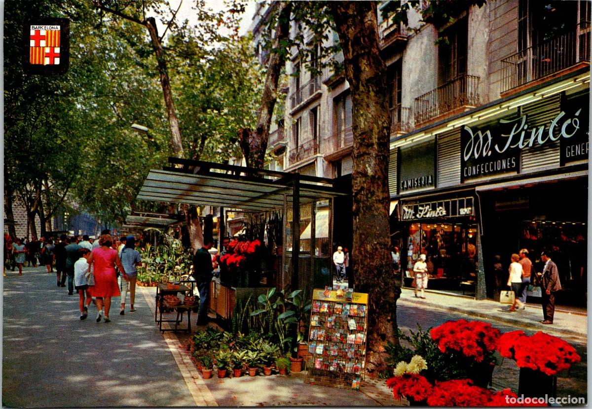 Postales: Barcelona - Rambla de la Flores - Camiser&iacute;a M. Pint&oacute; - 148x102mm - Firma Felicitaci&oacute;n Miguel Pint&oacute;