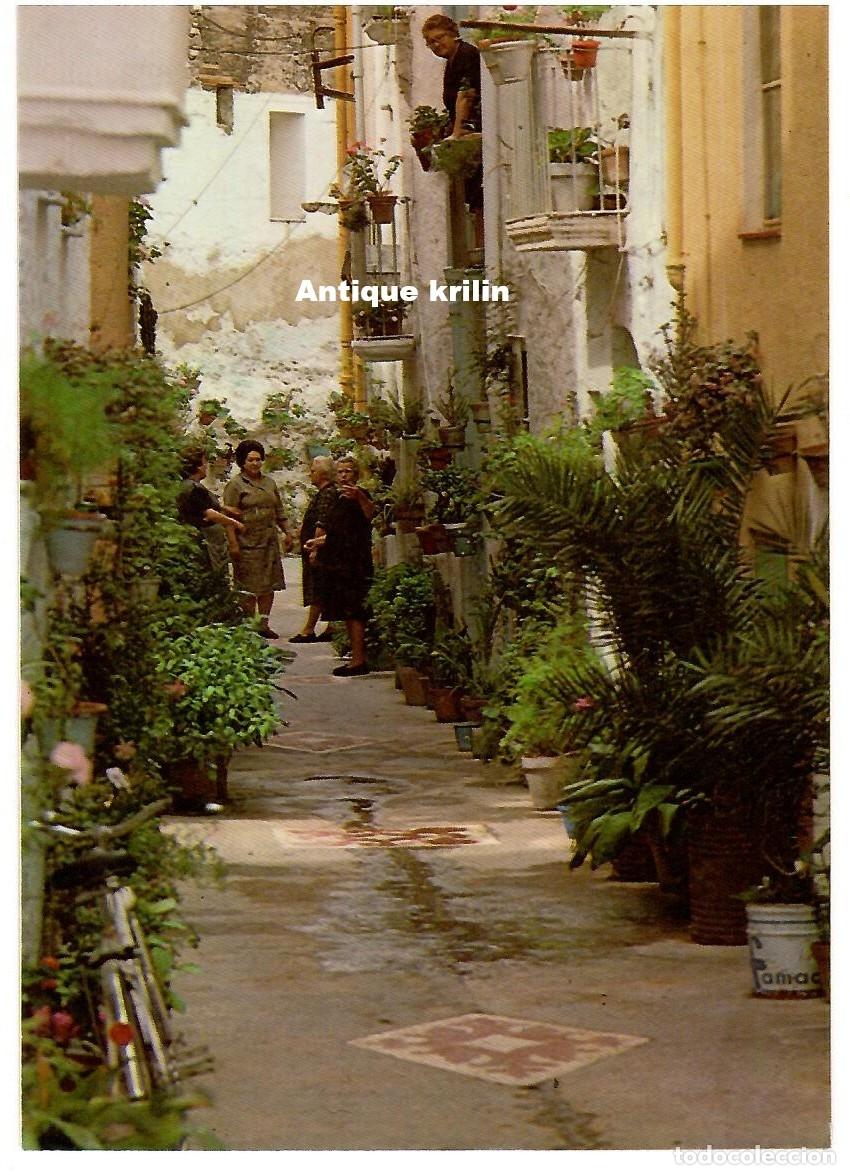 Postales: AMPOSTA / CALLE DEL FOSO / EDICION ESCUDO DE ORO / SIN FRANQUEAR