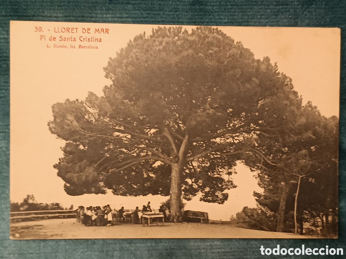 Postales: 39 LLORET DE MAR. Pi de Santa Cristina