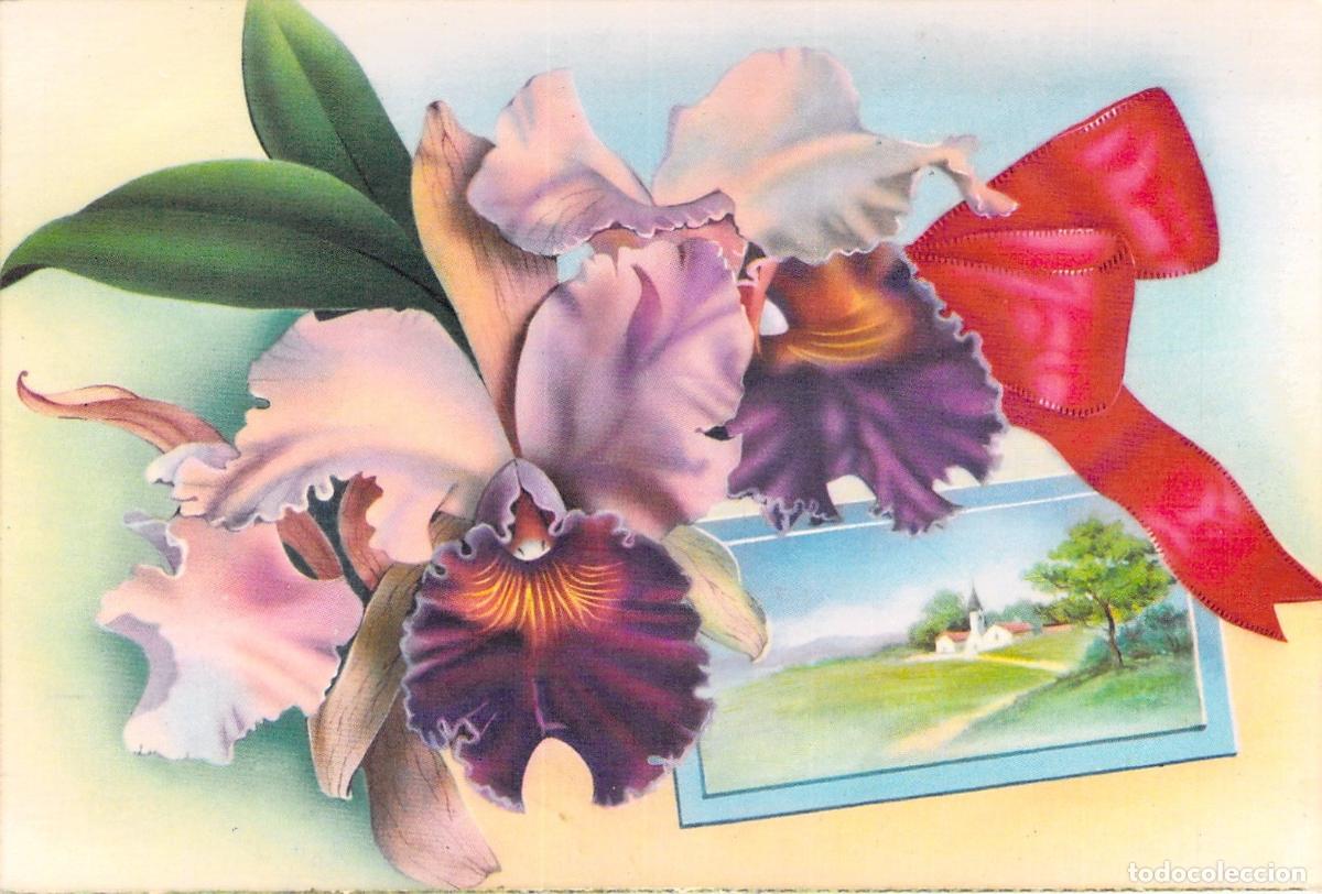 Postales: Postal de Orqu&iacute;deas con Lazo Rojo e Ilustraci&oacute;n de Paisaje
