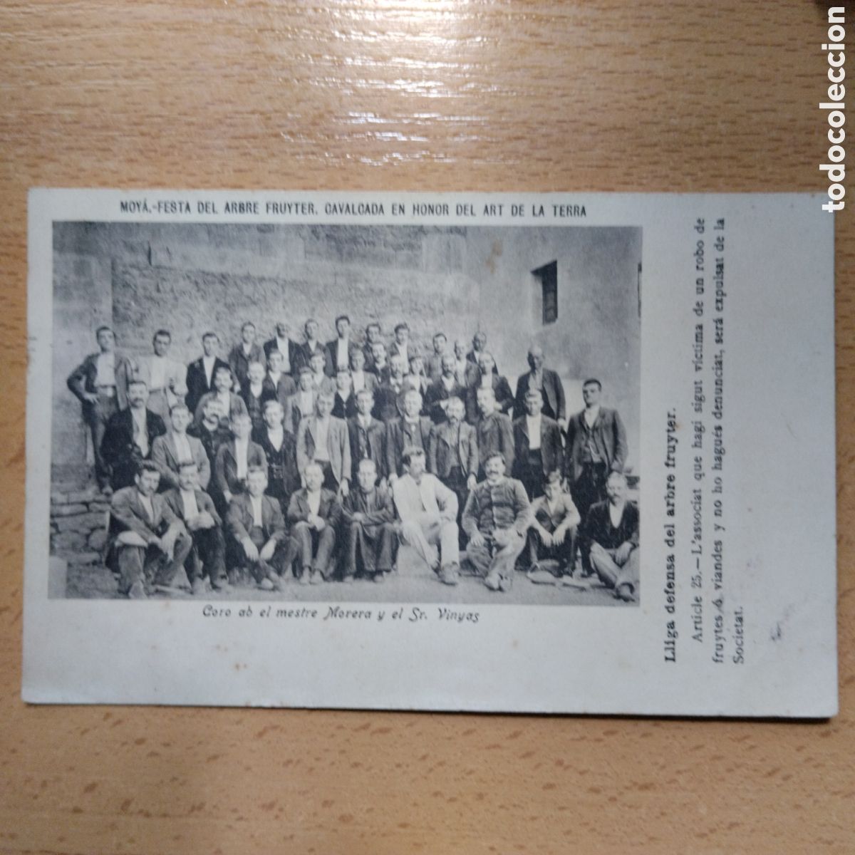 Postales: MOYA-FESTA ARBRE FRUITER-CORO MESTRE MORERA Y SR VINYAS-REVERSO SIN DIVIDIR