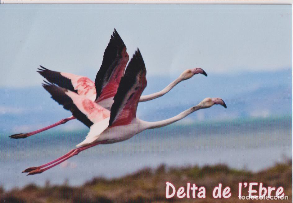 Postales: PARC NATURAL DEL DELTA DE L'EBRE - RESERVA DE LA BIOSFERA - FOTOS A.MULET - ESCRITA