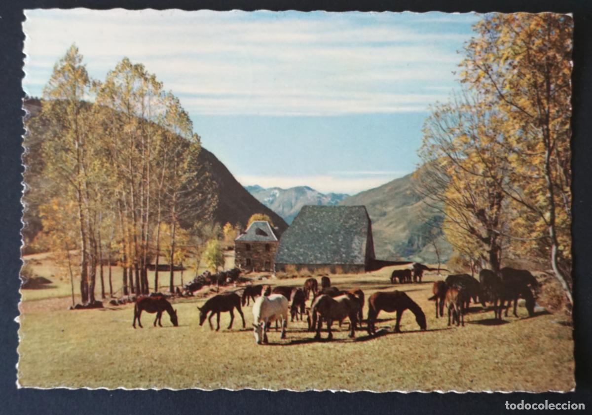 Postales: Antigua postal enviada desde Les (Pirineos de Lleida) el a&ntilde;o 1969, con sello y matasellos.