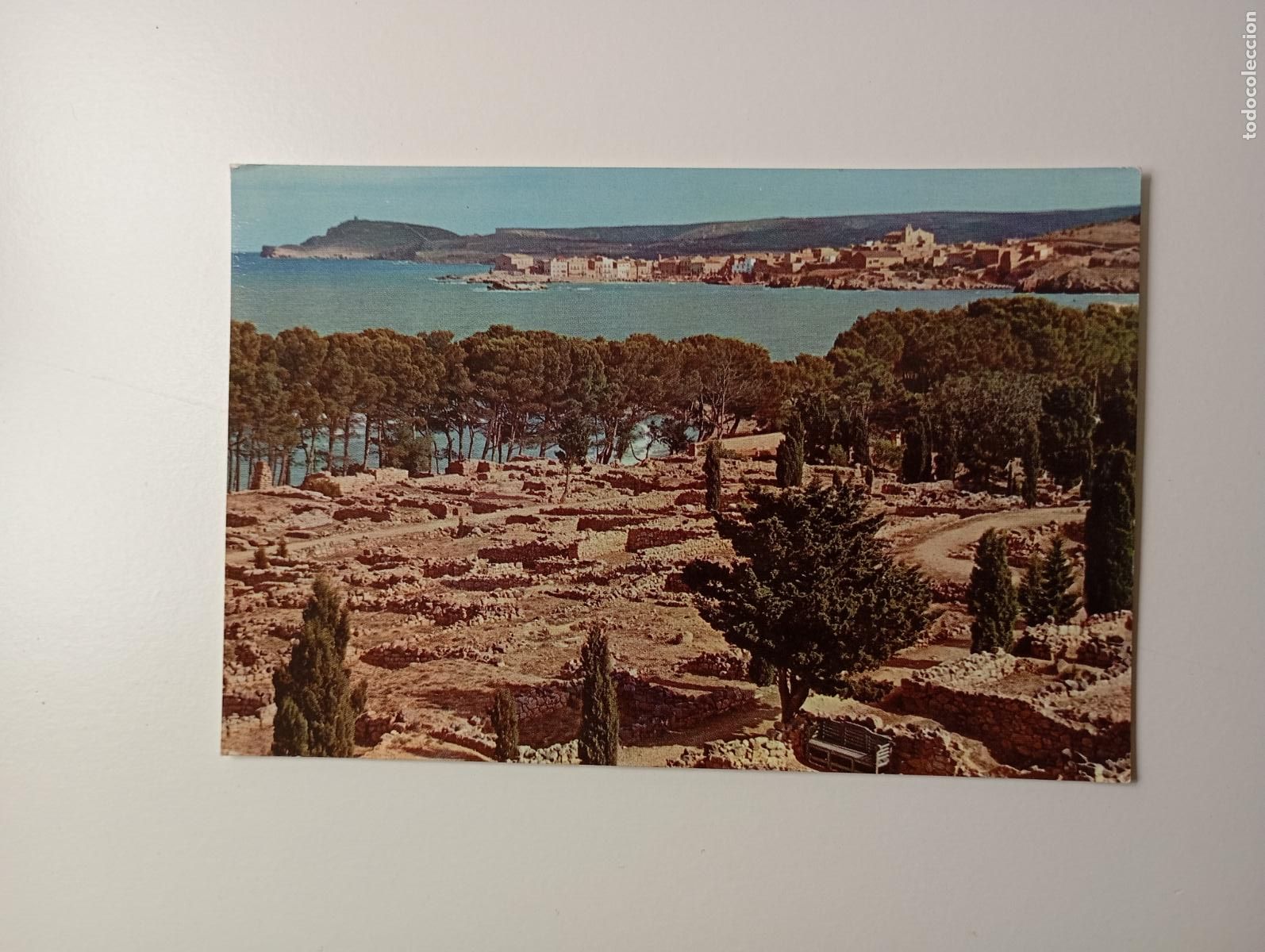Postales: POSTAL DE LA ESCALA. COSTA BRAVA. LA NE&Aacute;POLIS. TDKP29C