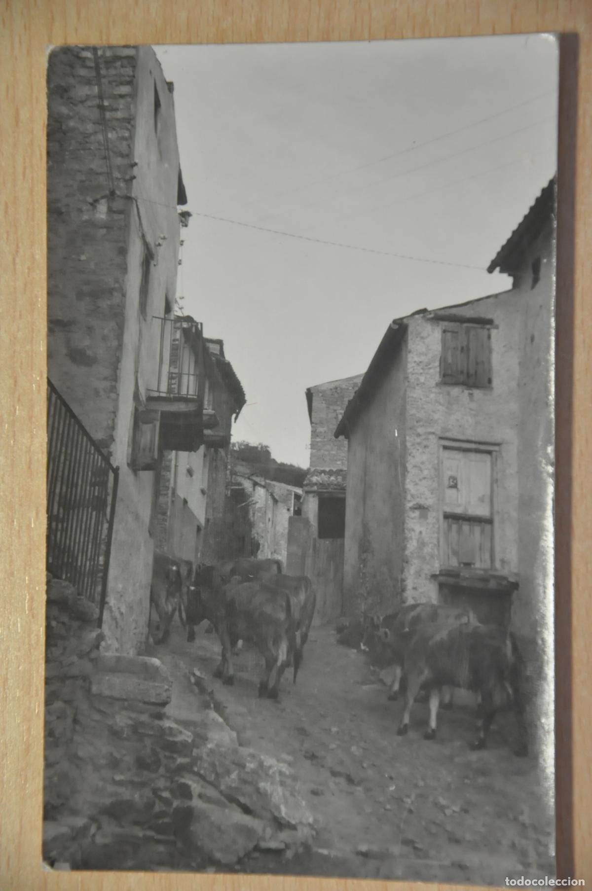 Postales: postal de (en el reverso pone prullans), ver reverso