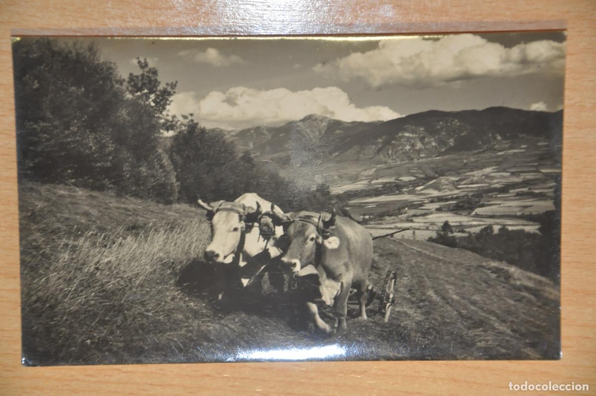 Postales: postal prullans de cerda&ntilde;a, prados foto cuyas