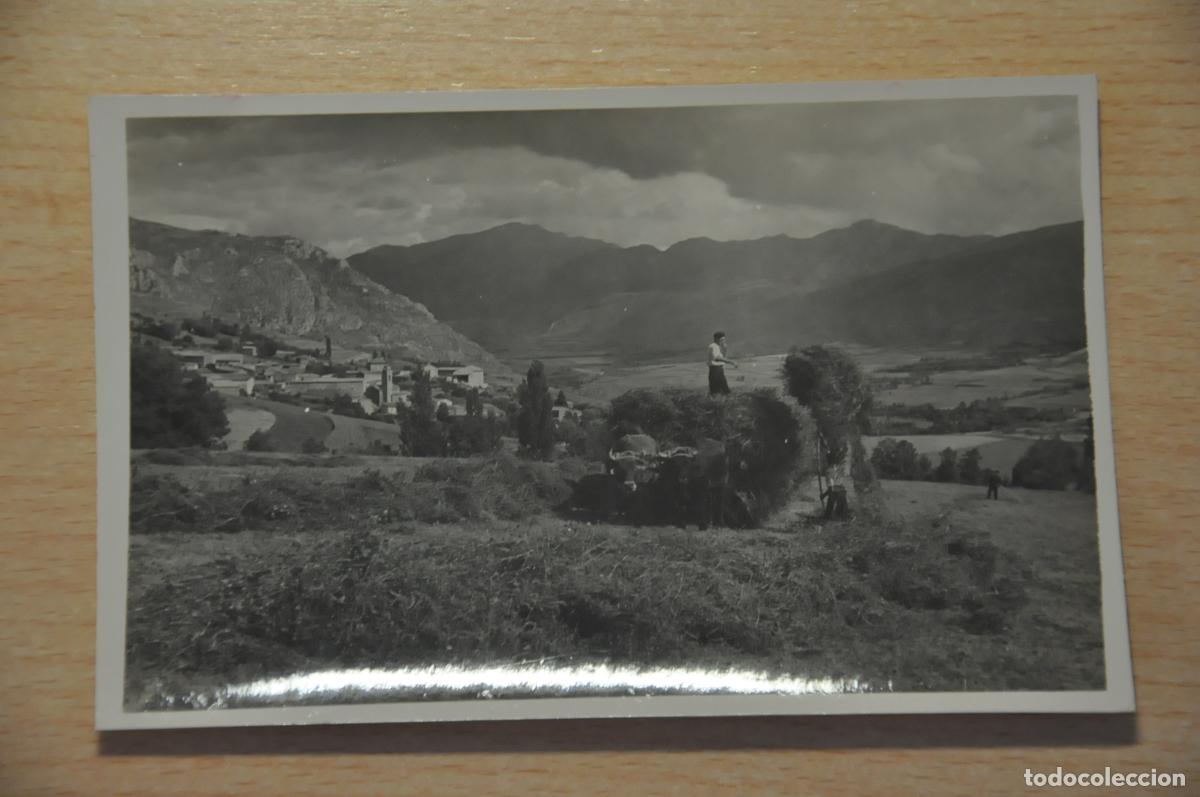 Postales: postal prullans cerda&ntilde;a, foto cuyas