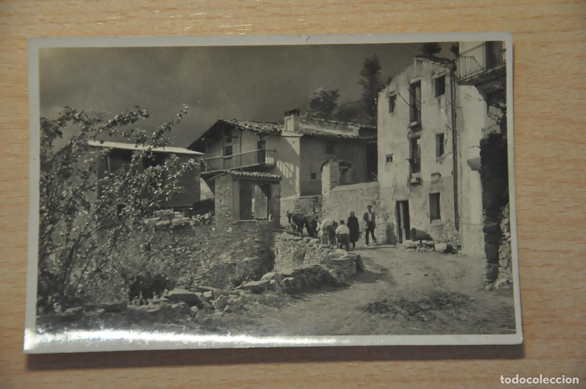 Postales: postal de (en el reverso pone prullans), foto cuyas