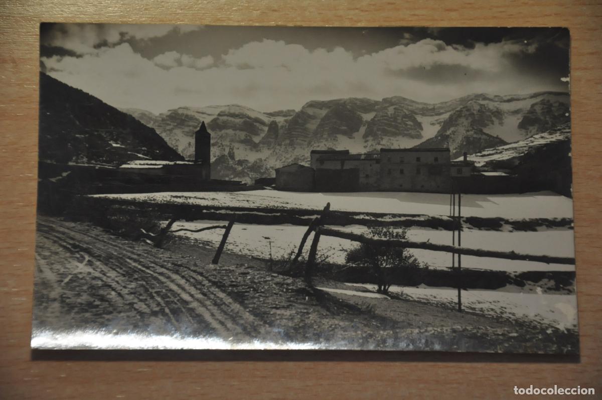 Postales: postal arseguel, cerda&ntilde;a, foto cuyas