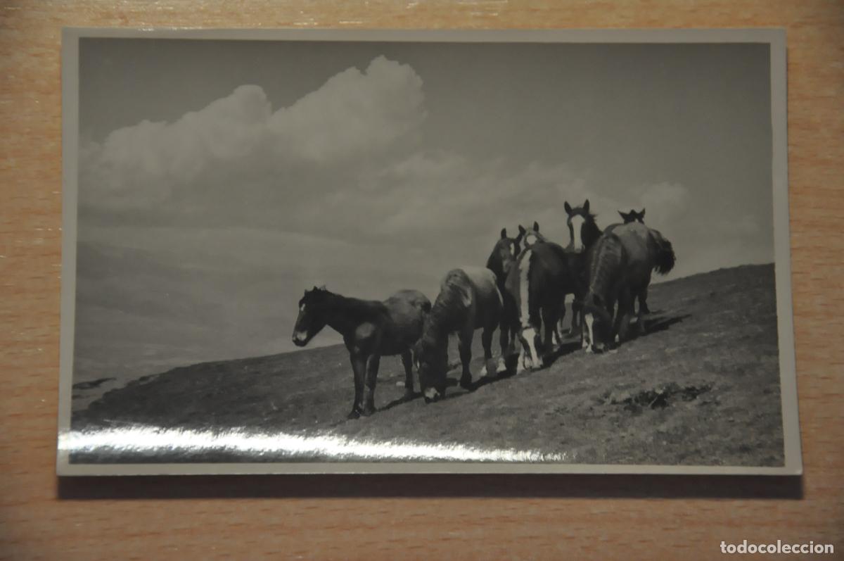 Postales: postal alp, foto cuyas