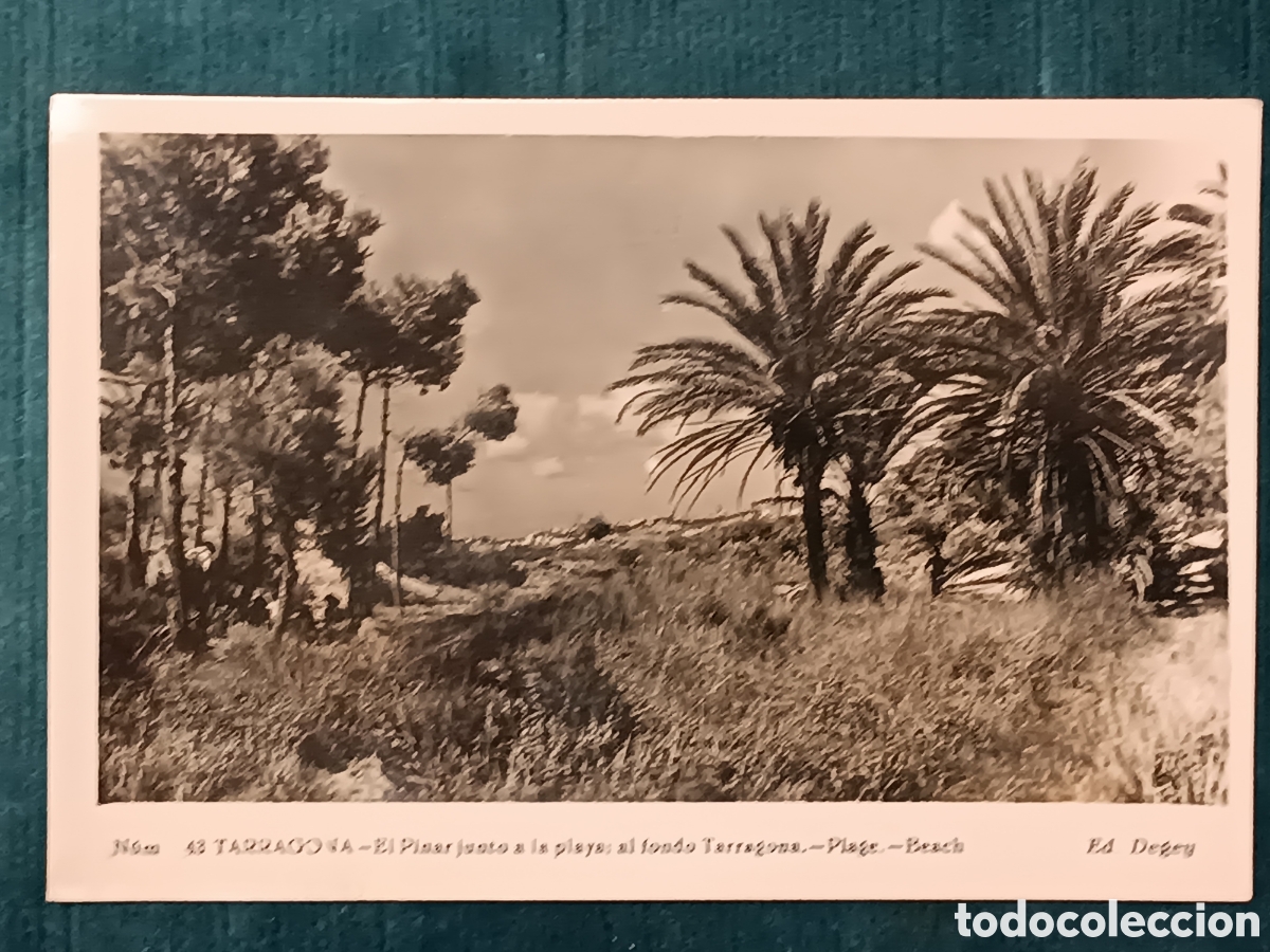 Postales: N&uacute;m 43 TARRAGONA. Ed. Degey.