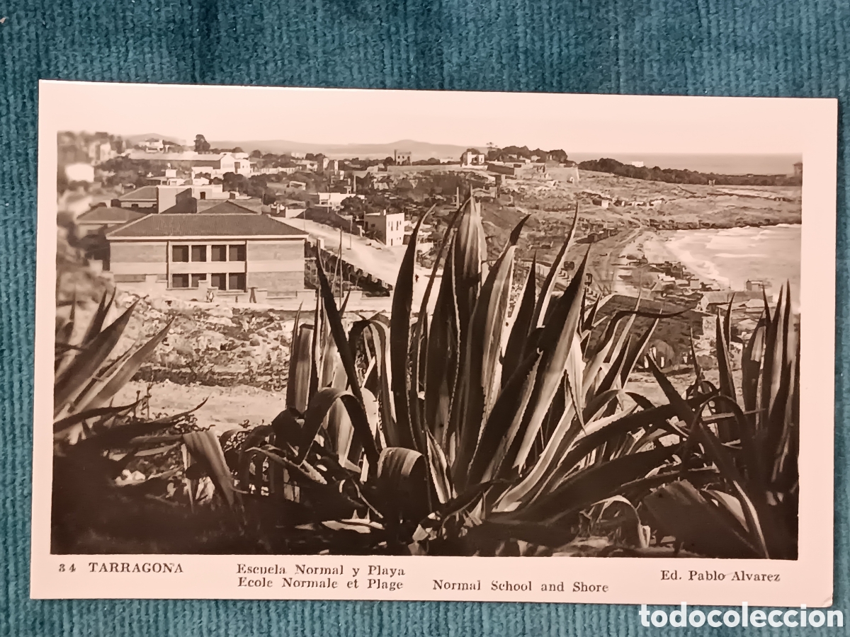 Postales: 34 TARRAGONA. Escuela Normal y Playa