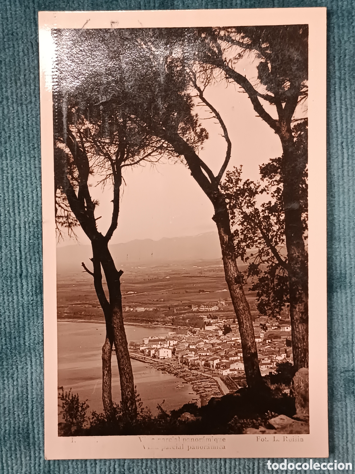 Postales: ROSES. Vista parcial panor&aacute;mica.
