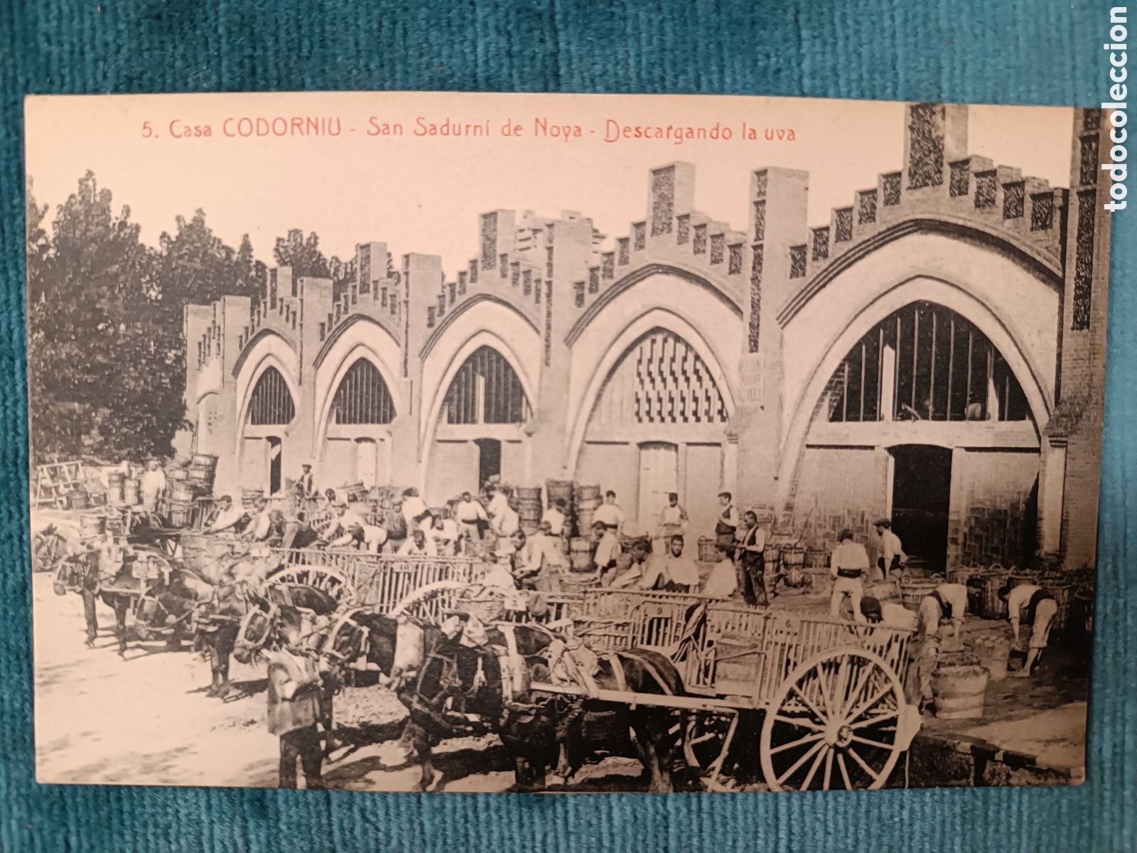 Postales: 5 Casa CODORNIU. Sant Sadurn&iacute; d'Anoia.