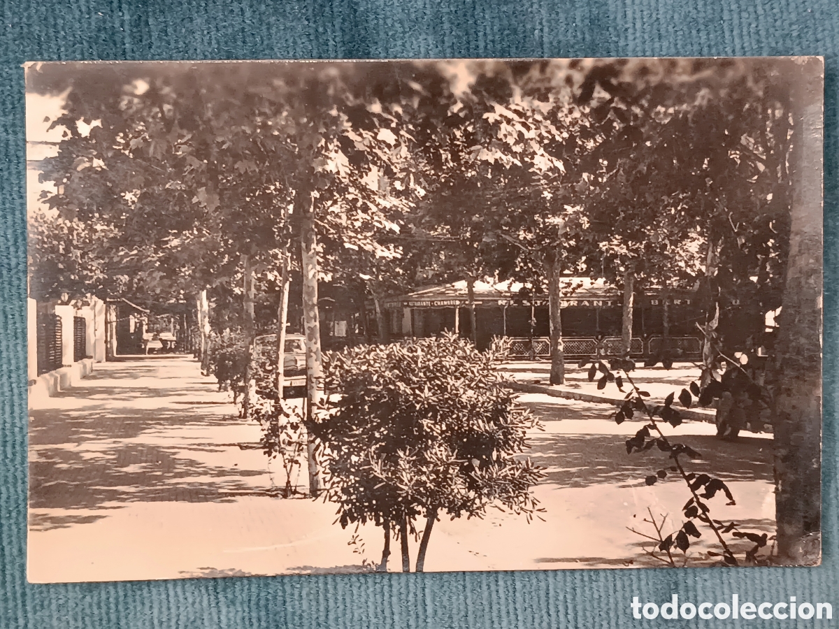 Postales: 55 SALOU. Calle Mayor.