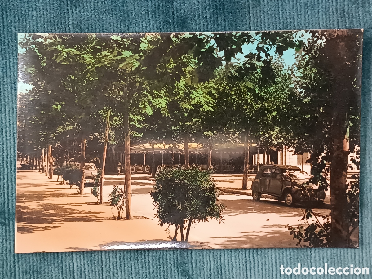 Postales: 55 SALOU. Calle Mayor