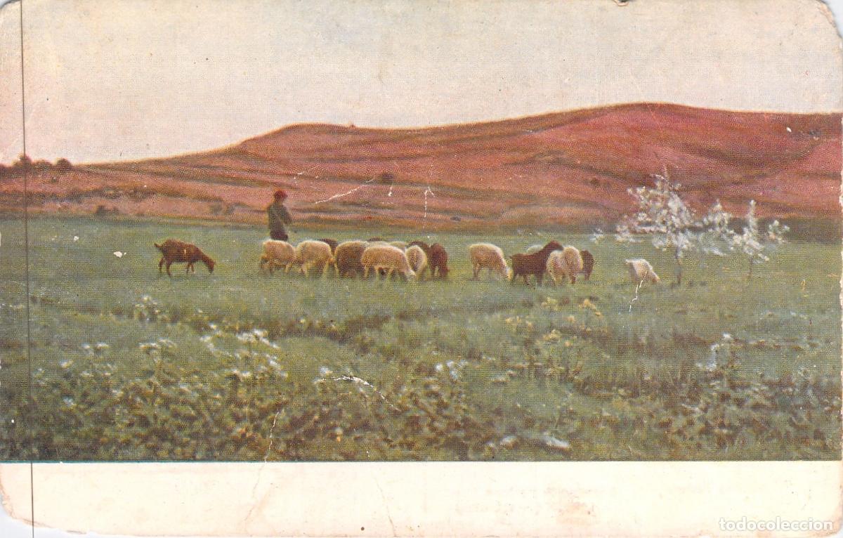 Postales: Postal de Arte: El reba&ntilde;o de Joaqu&iacute;n Vayreda - Museos de Barcelona