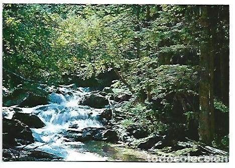 Postales: RIU DE VALLFERRERA.- PALLARS SOBIRA / LLEIDA
