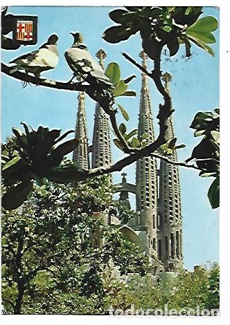 Postales: TEMPLO DE LA SAGRADA FAMILIA, DETALLE.- BARCELONA