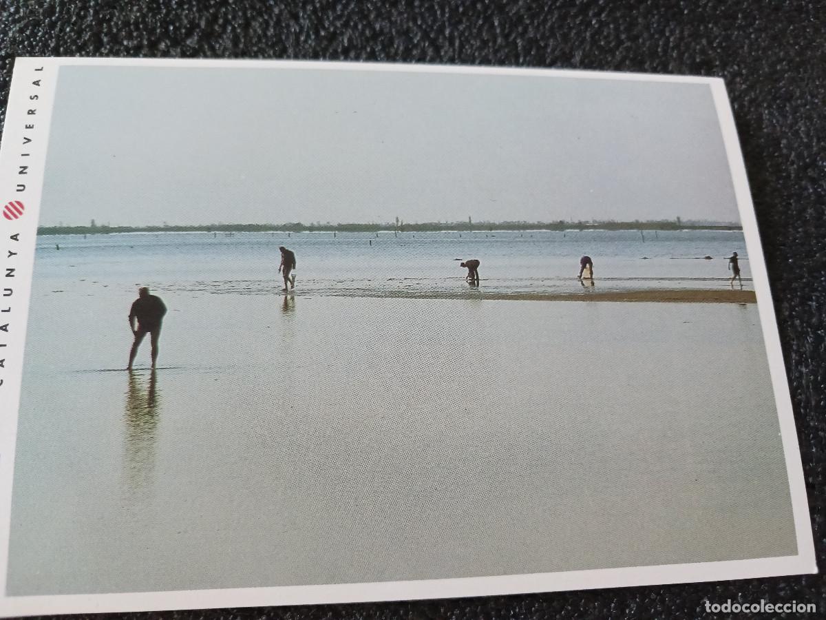 Postales: catalunya universal, la vanguardia, el delta del ebro, mariscadores