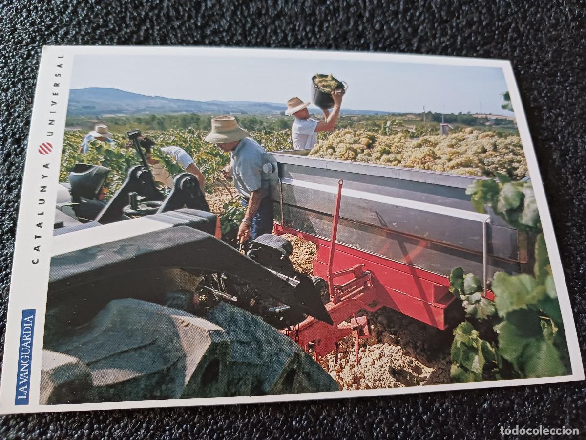 Postales: catalunya universal, la vanguardia, vendimia en sant sadurni d' anoia