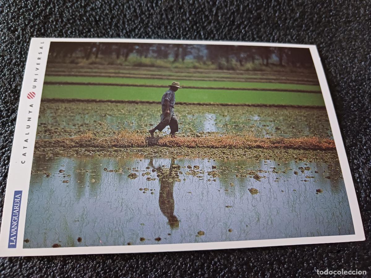 Postales: catalunya universal, la vanguardia, el delta del ebro