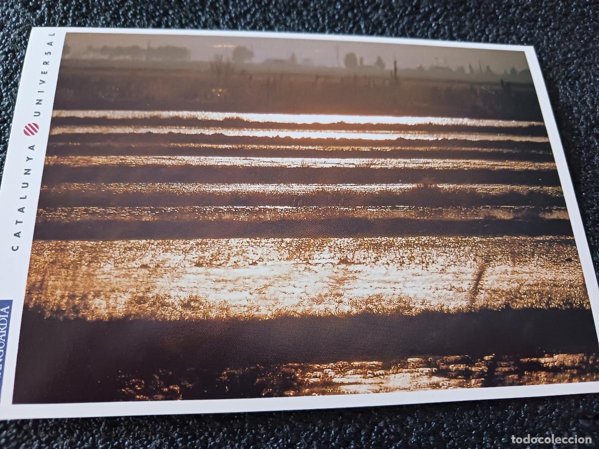 Postales: catalunya universal, la vanguardia, el delta del ebro
