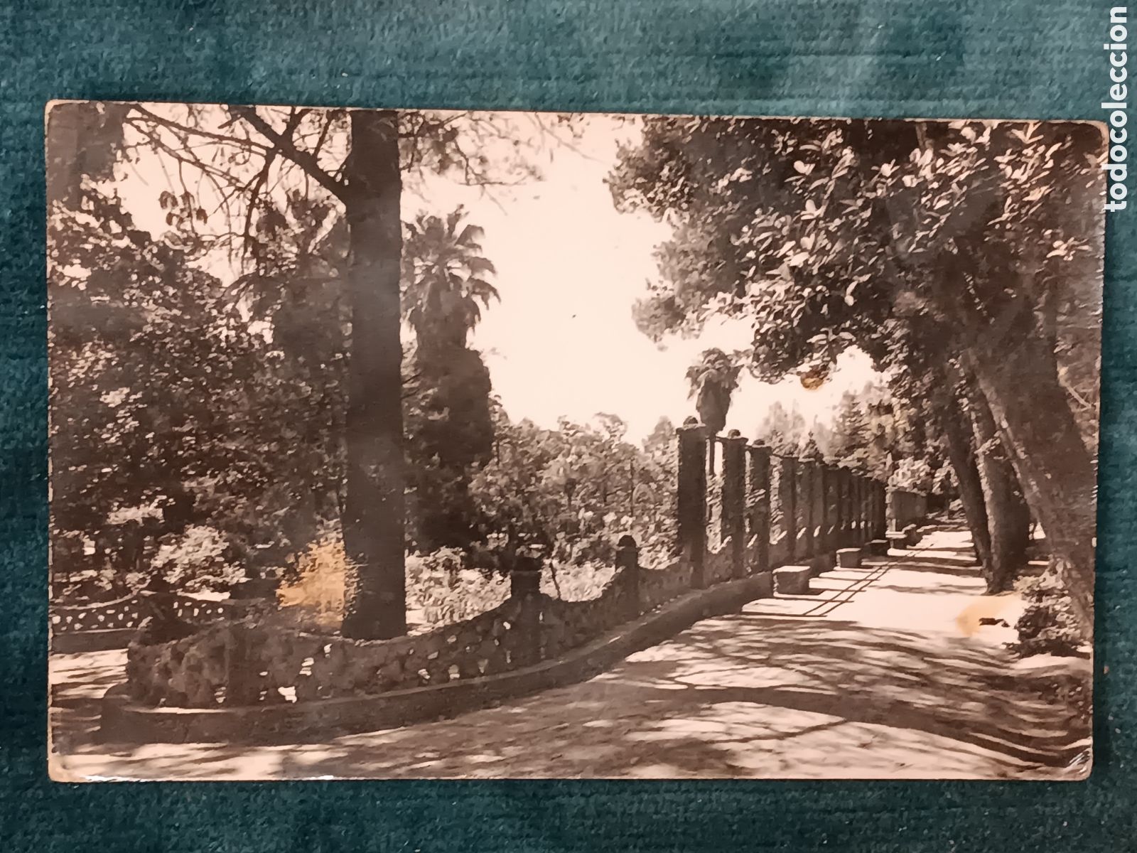 Postales: N&deg;42 TORTOSA. Parque Teodoro Gonzalez