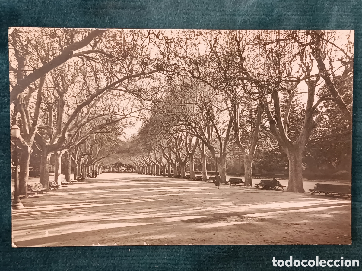 Postales: TORTOSA n&deg;8. Parque Municipal (Paseo Central)