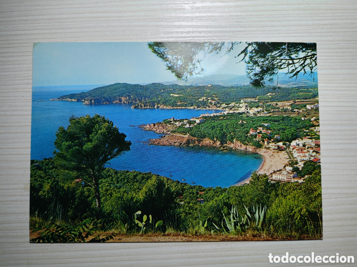 Postales: Antigua postal vista panor&aacute;mica de Llafranch y Calella costa Brava