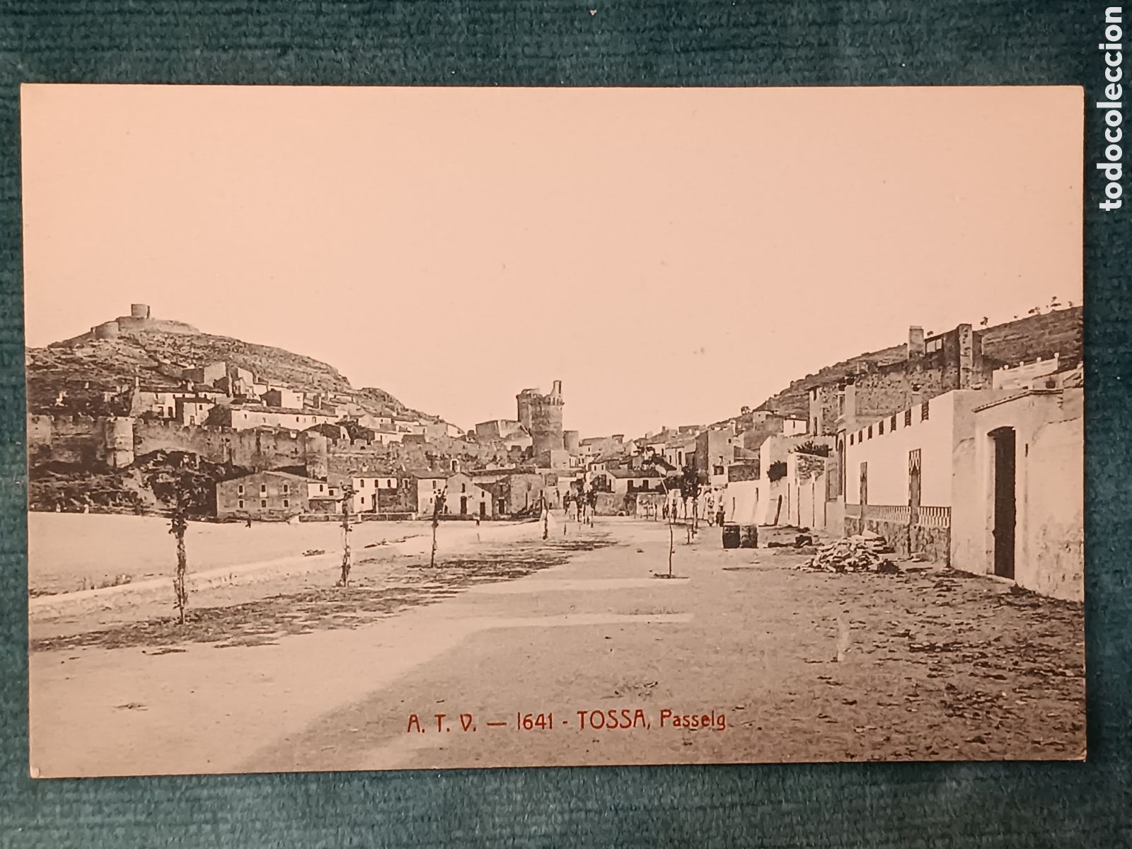 Postales: A.T.V. 1641 TOSSA. Passeig