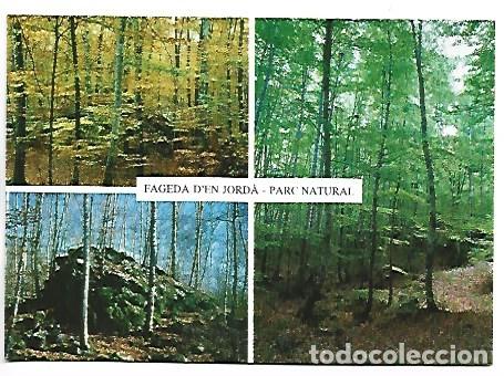 Postales: FAGEDA D&acute;EN JORDA - PARC NATURAL.- GARROTXA - SANTA PAU