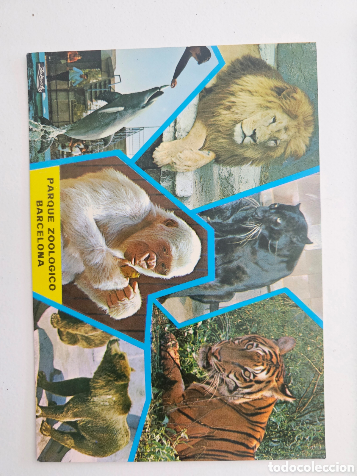Postales: Postal de gran tama&ntilde;o del Zoo de Barcelona n&deg; 515 Zerkowitz 1977