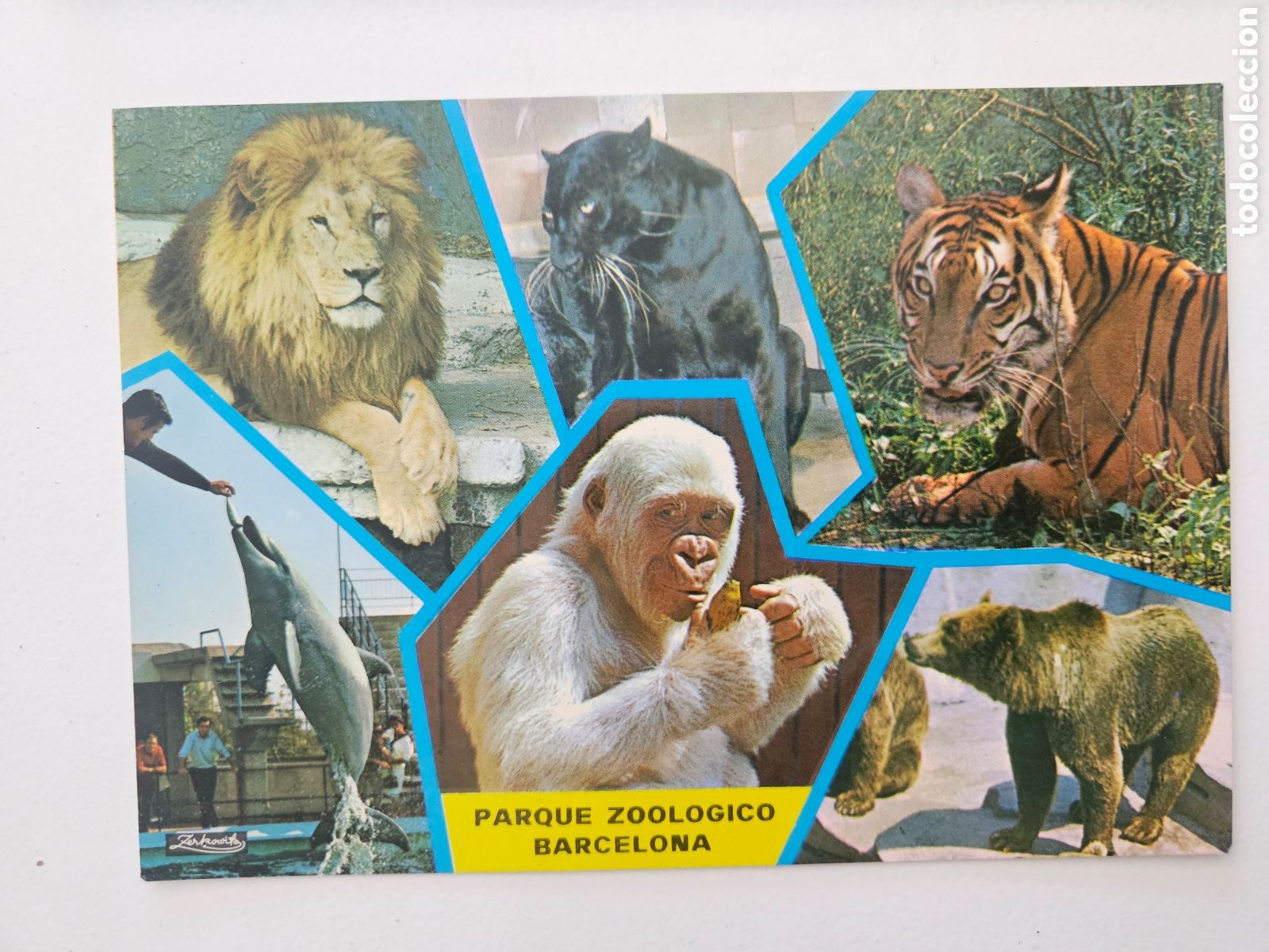 Postales: Postal de gran tama&ntilde;o del Zoo de Barcelona n&deg; 515 Zerkowitz 1977