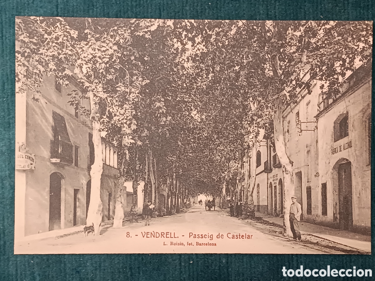 Postales: 8 VENDRELL. Passeig de Castelar