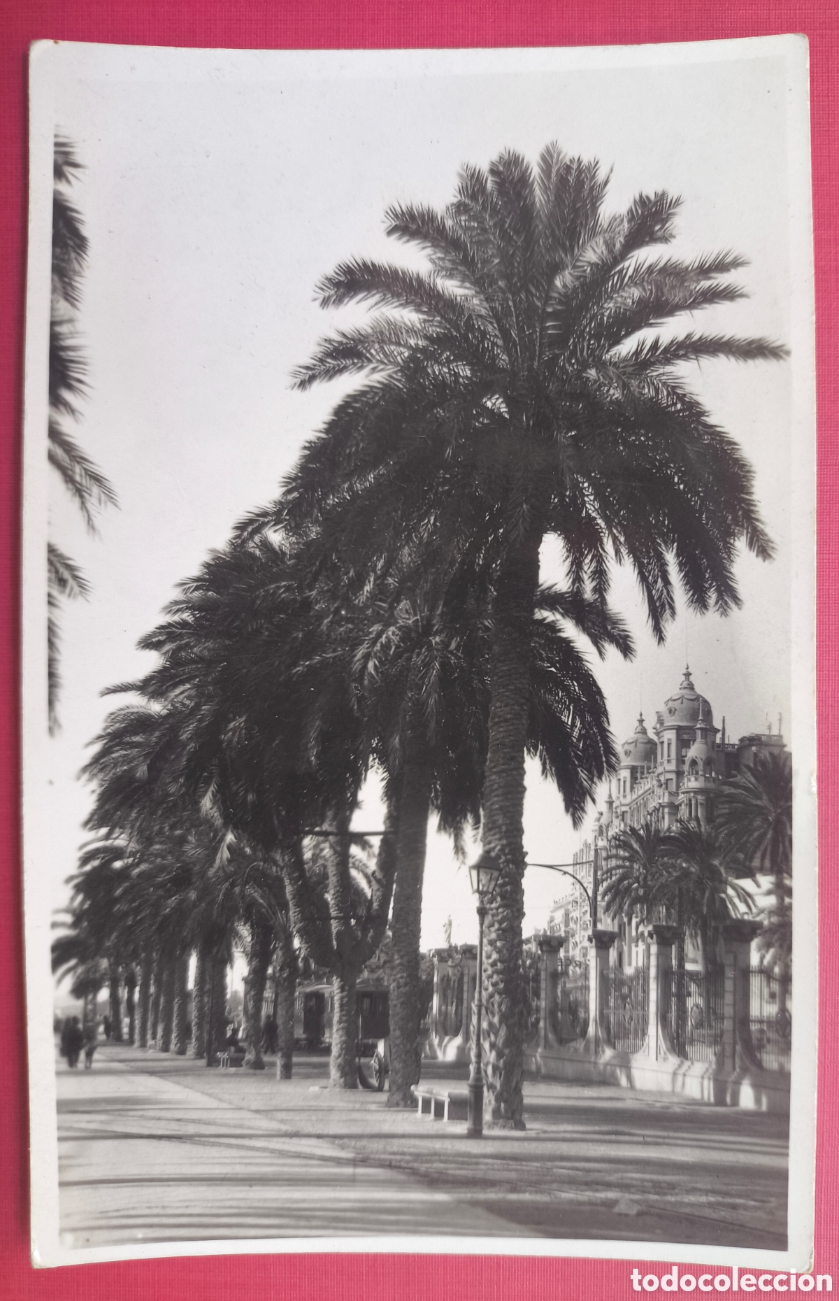 Postales: ALACANT PASSEIG GOMIS POSTAL FOTOGR&Aacute;FICA FOTOGRAF&Iacute;A S&Aacute;NCHEZ ALICANTE C. 1945