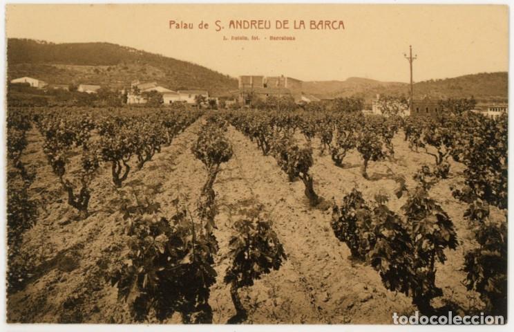 Postales: a11261 sant andreu de la barca palau roisin sc