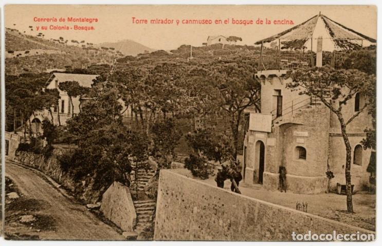 Postales: a11314 Conreri Montalegre Colonia Bosque Torre Mirador Y Canmuseu En El Bosque De La Encina sc