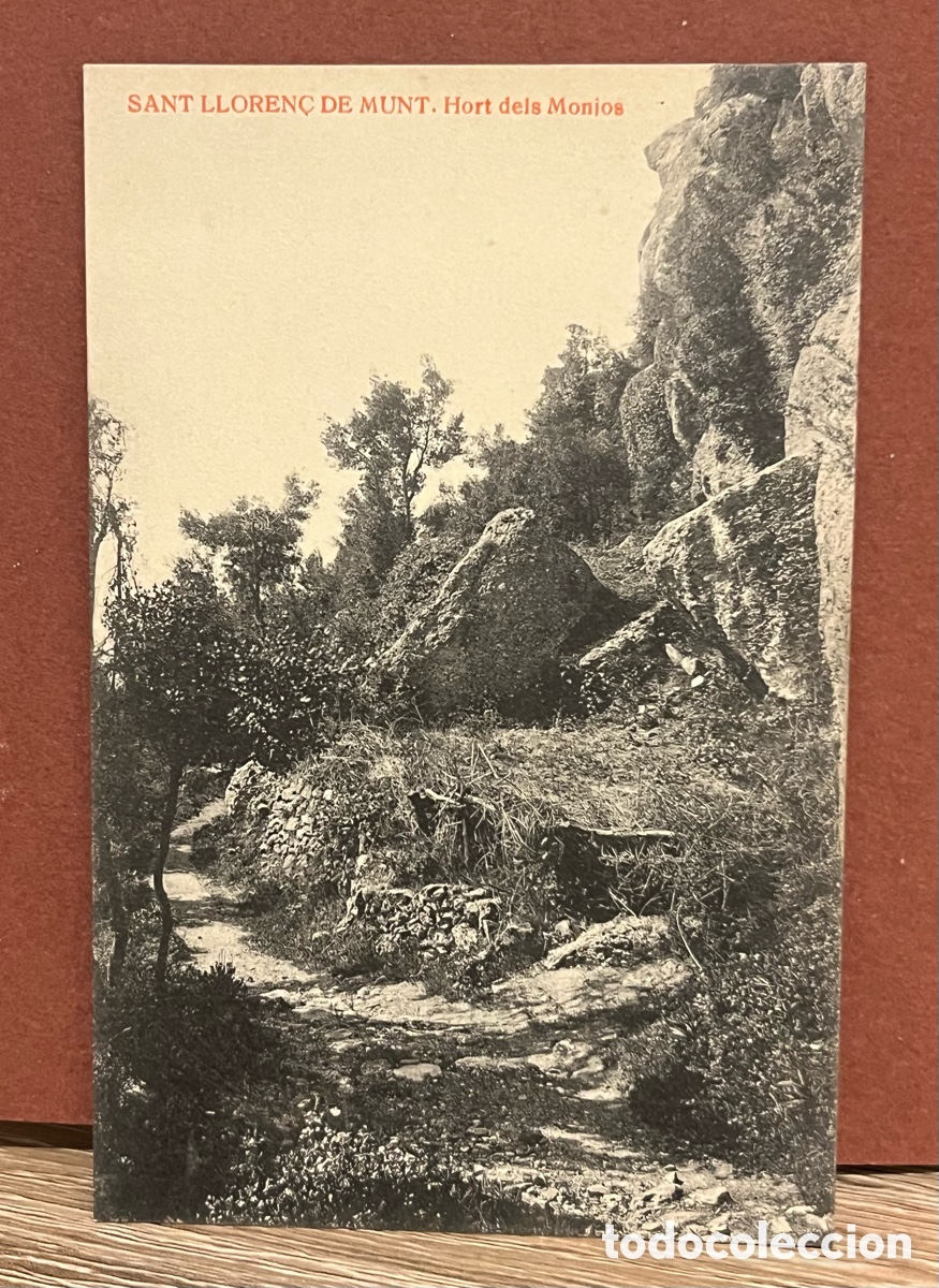 Postales: POSTAL SANT LLOREN&Ccedil; DE MUNT - HORT DELS MONJOS - E. LLOPART