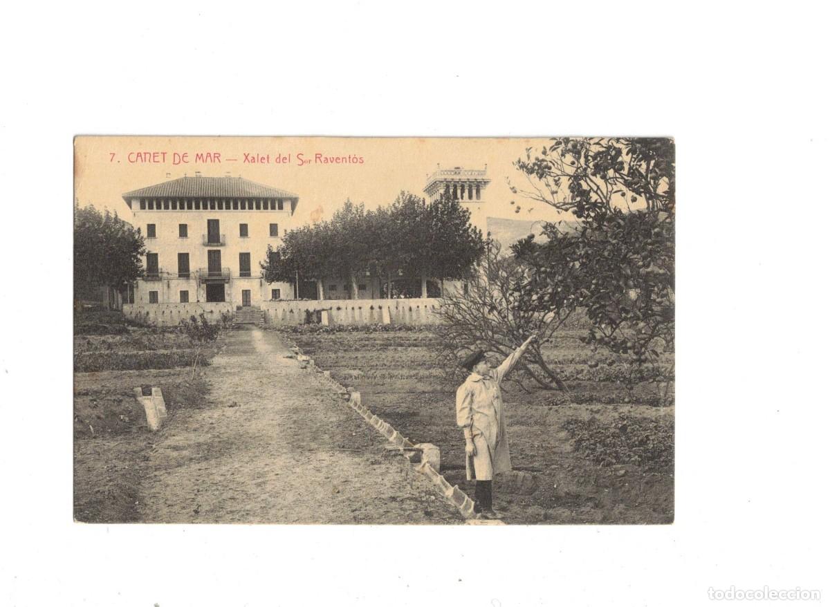 Postales: CANET DE MAR. COOPERATIVA LA CANETENSE. 7 ROISIN